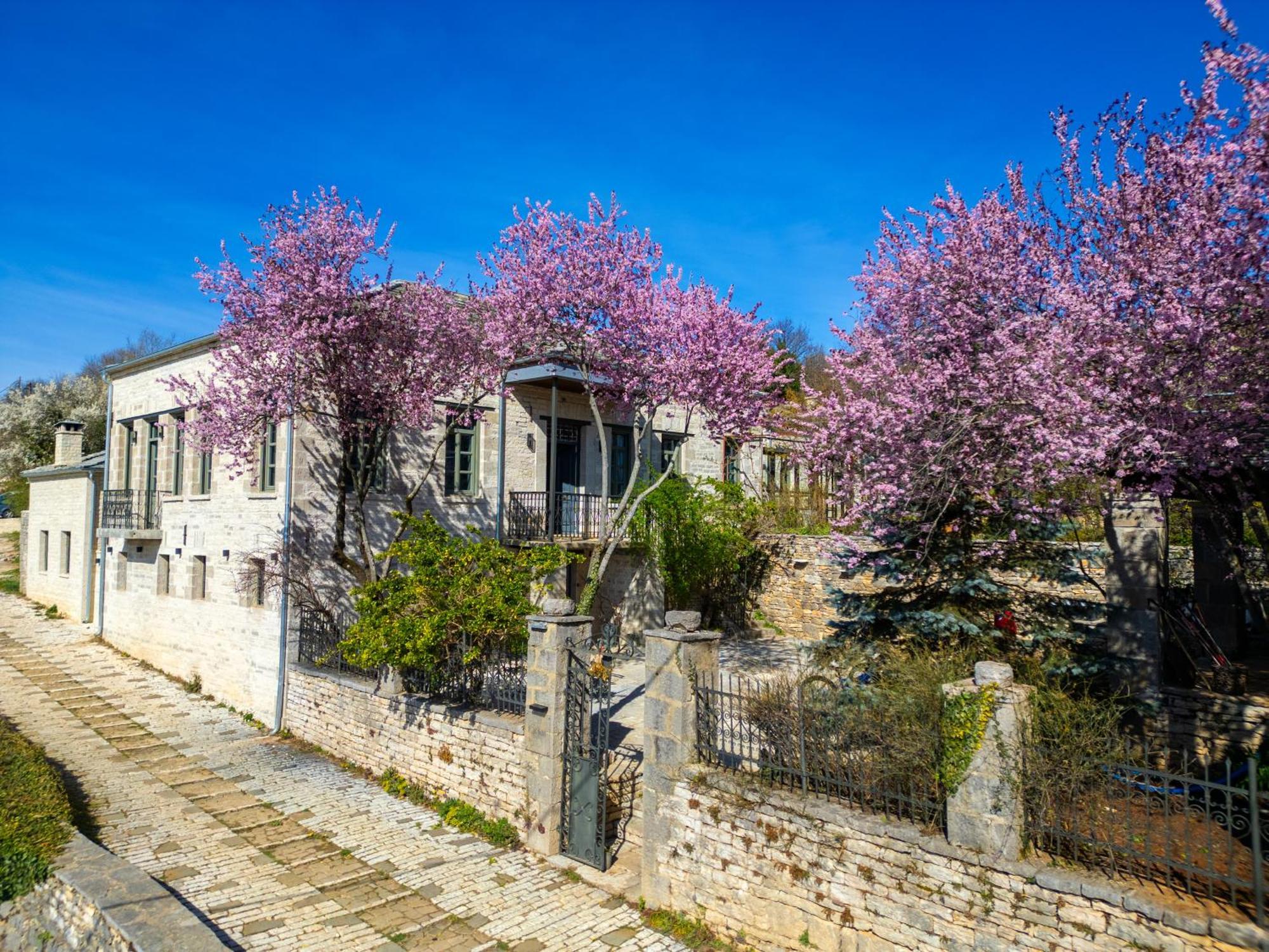 Katikia Zagori Hotel Vitsa Exterior photo